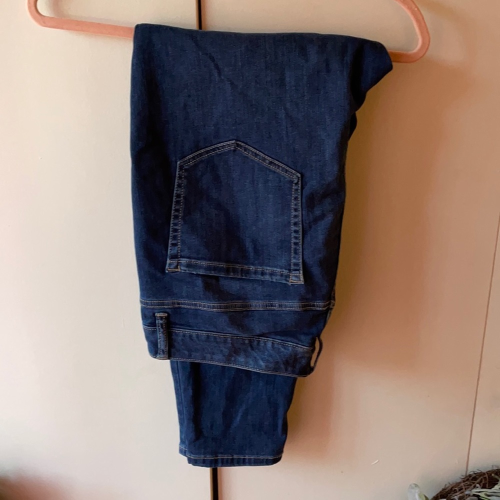 Lane Bryant Skinny Jeans